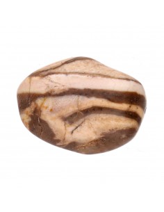 Jaspe Bambou Bombé 2x1.5cm 2