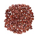 Red Jasper Rhodes 2x1cm