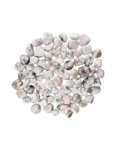 Rhodes en pierre de lune 3x2cm