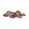 Smoky Quartz Rhodies 3x2cm