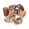 4x3cm Zebra Jasper Rhodes