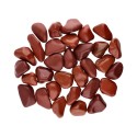 Rodados de Jaspe Rojo 3x2cm