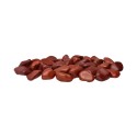 Jaspe rouge Rhodies 3x2cm