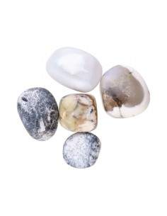 Rhodies turques en... 2