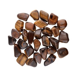 Tiger Eye Rolls T-5