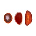 Petite plaque d'agate teintée en brun