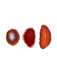 Plaque d'agate brune... 2