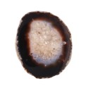 Medium Dyed Black Agate Plate