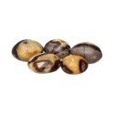 Savon Septaria (Pack 500gr)