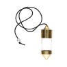 Pendulum with Large Bronze Witness (PEND103)