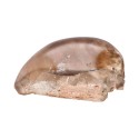 Polished Shamanic Quartz with Rough Base