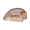 Quarzo Sciamanico Lucidato con Base Grezza