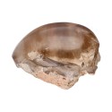 Quartz chamanique poli avec base brute