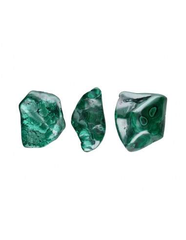 Malachite lucidata