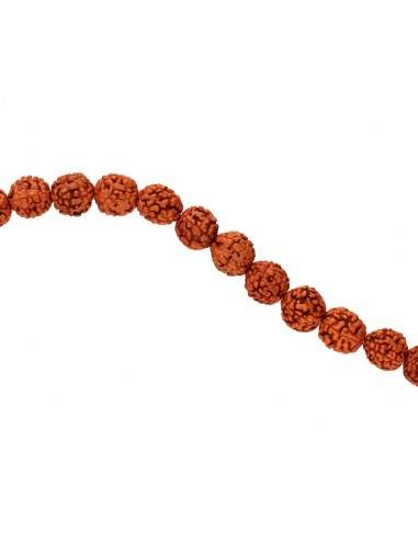 Collana con semi di Rudraksha.