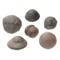 Moquis Pequeños