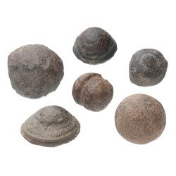 Small Moquis