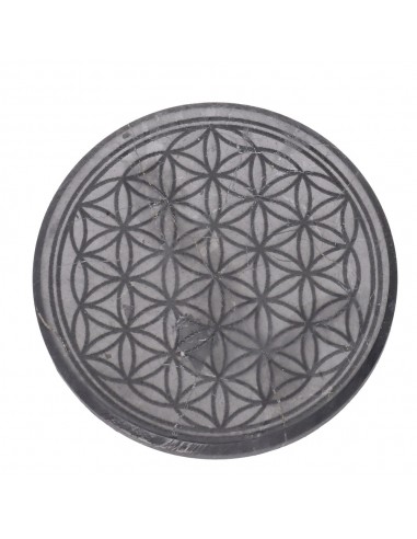 Piastra adesiva di Shungite Fiore...