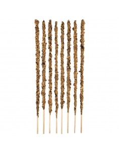 Palo Santo with Champa... 2