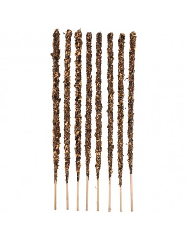 Incienso di Palo Santo con Rosmarino...