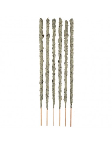 Champa Flower Green Tea Botanical...