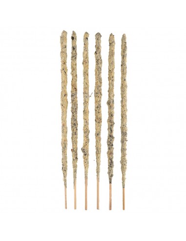 Magnólias Sahumero Botânicas -...