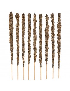 White Sage - Sacred Mother 2