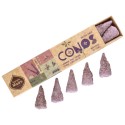 Cones de fleurs de lavande et de violette