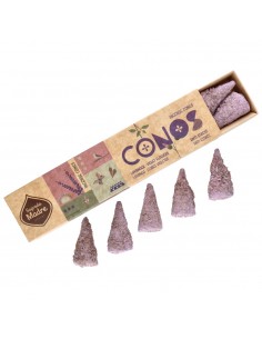 Coni di lavanda e fiori...