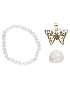 Pack Caja Renacimiento -... 2