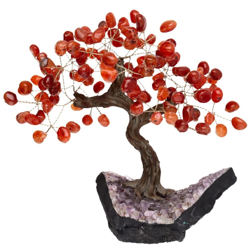Albero di Cornalina Medio con Base di Drusa di Amatista | Vives de la Cortada