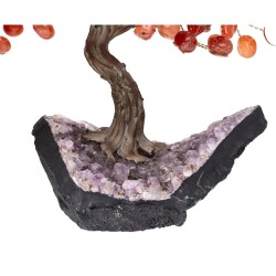 Medium Carnelian Carnelian Tree with Amethyst Druse Base