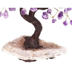 Albero di Ametista Piccolo con Base di Drusa di Ametista