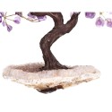 Small Amethyst Tree with Amethyst Druse Base