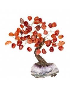 Pequena árvore carneliana...