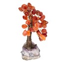 Petit arbre en cornaline avec base en druse d'améthyste