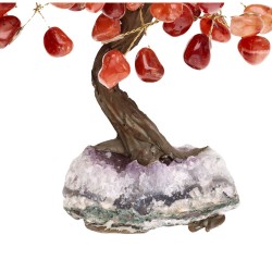 Petit arbre en cornaline avec base en druse d'améthyste