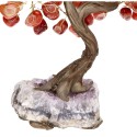 Albero di Cornalina Piccolo con Base di Drusa di Ametista
