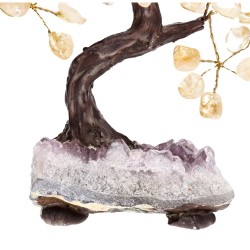 Small Citrine Tree with Amethyst Druse Base