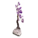Mini Amethyst Tree with Amethyst Druse