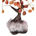 Mini Carnelian Tree with Amethyst Druse