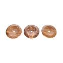 Large Fossil Jasper Donut A