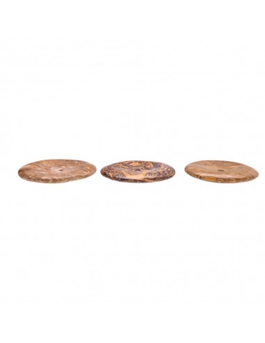 Grand donut de jaspe fossile Grade A