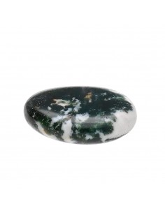 Plano baleado de árvore de... 2