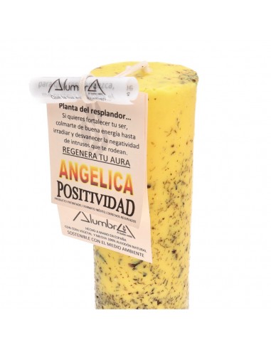 Candela artigianale con Angélica -...