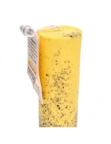 Positivity with Angelica Ritual Candle