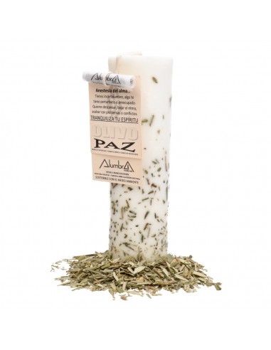 Candela artigianale all'olivo - Pace