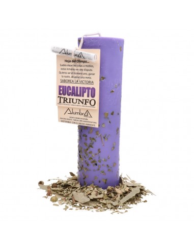 Candela artigianale all'eucalipto -...