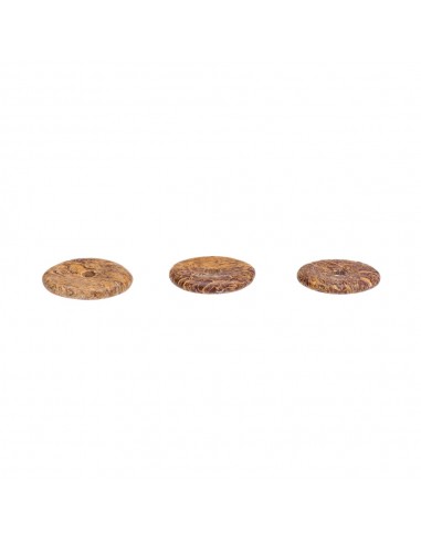 Donut Piccolo di Diaspro Fossile...
