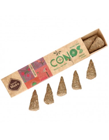 Conos de Patchouli y Palo Santo -...